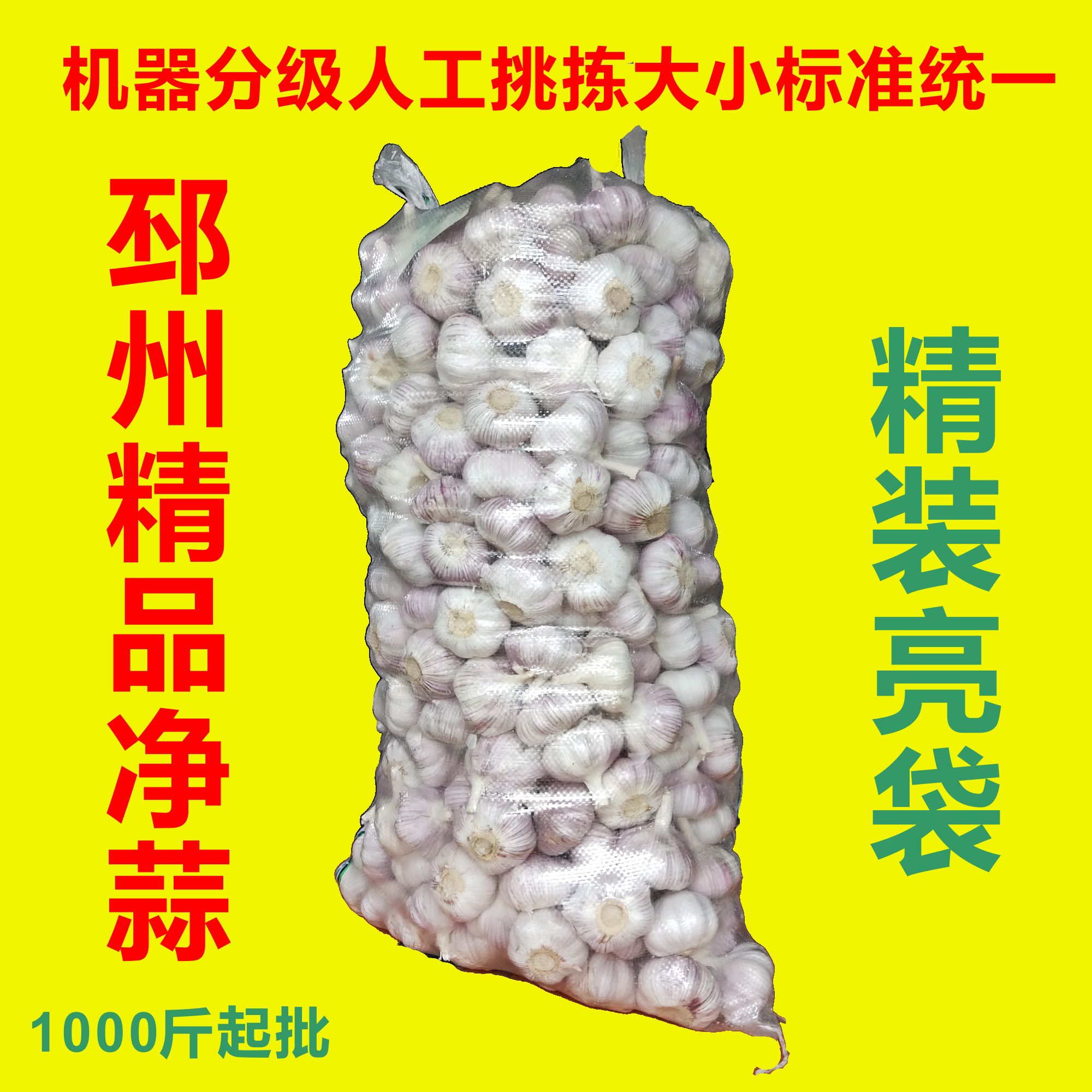 邳州净蒜，精加工分级蒜6级分级货源充足零担物流1000斤起发