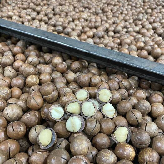杭州【夏威夷果】奶香味，原味，夏威夷果，澳洲，云南，支持一件代发