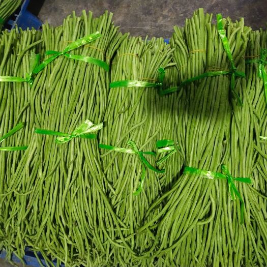 天门市湖北天门优质精品长豆角大量上市，欢迎咨询订购！