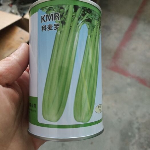 西芹种子科麦罗芹菜种圆梗实心淡绿色出芽率高亩产可达15000