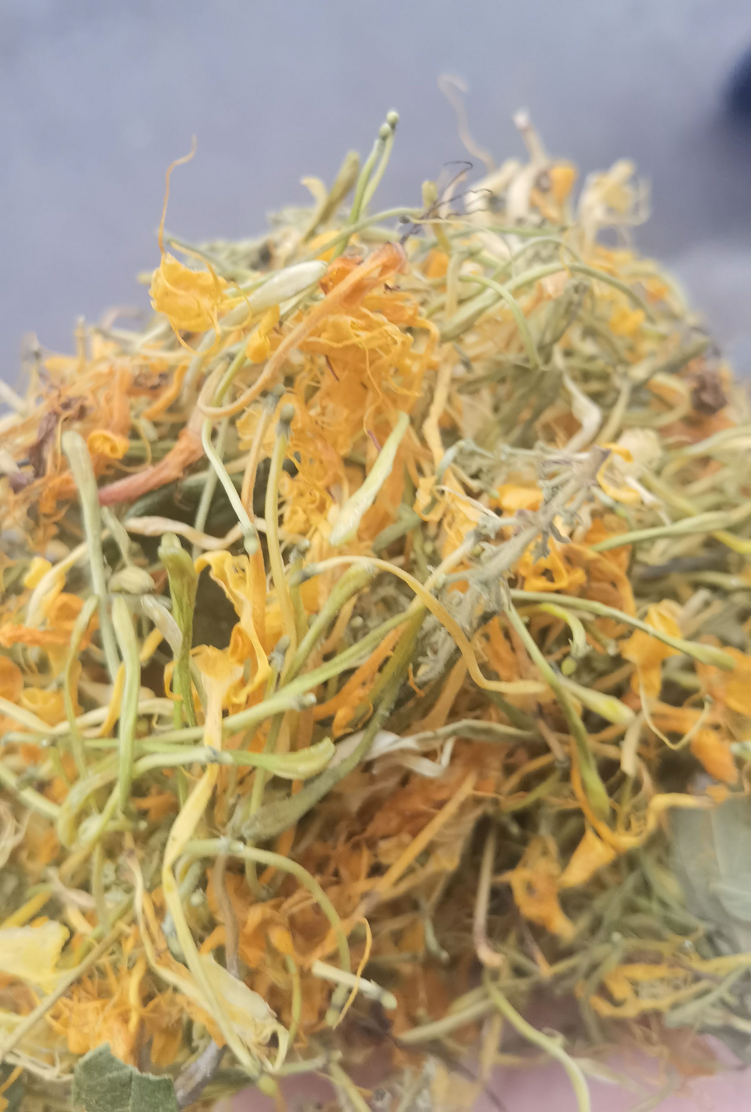 山银花  蒸汽五彩花，欢迎实地看货
