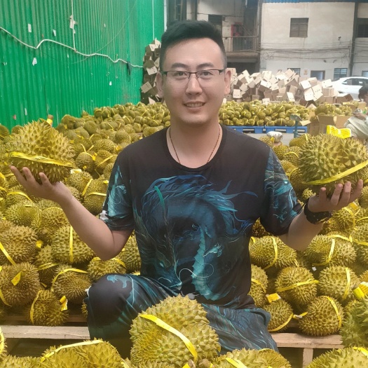 昆明泰国金枕榴莲全国批发供应电商团购支持一件代发货云南云仓