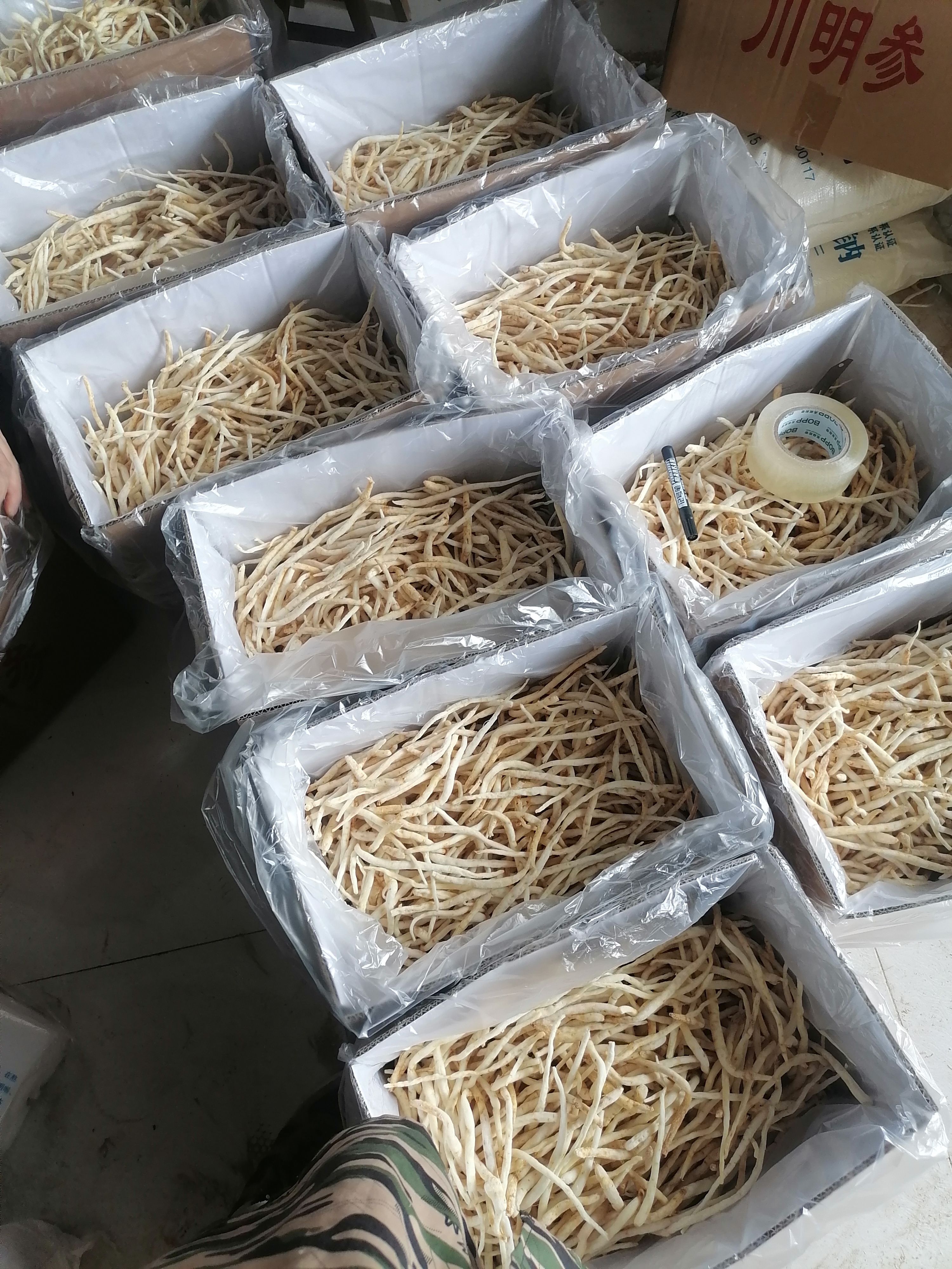 川明参