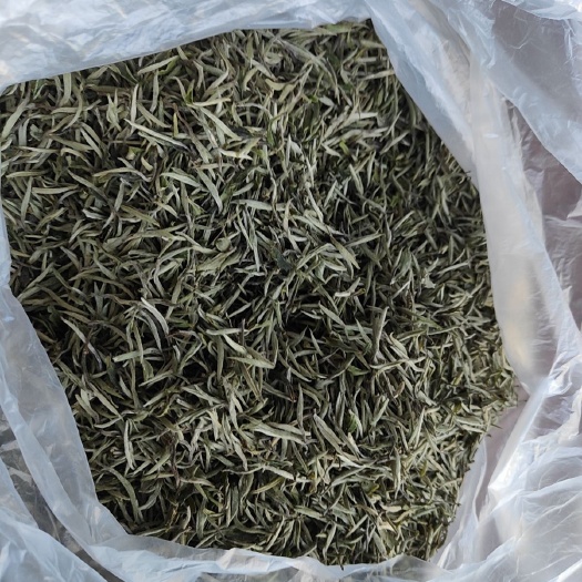 深圳E档银针