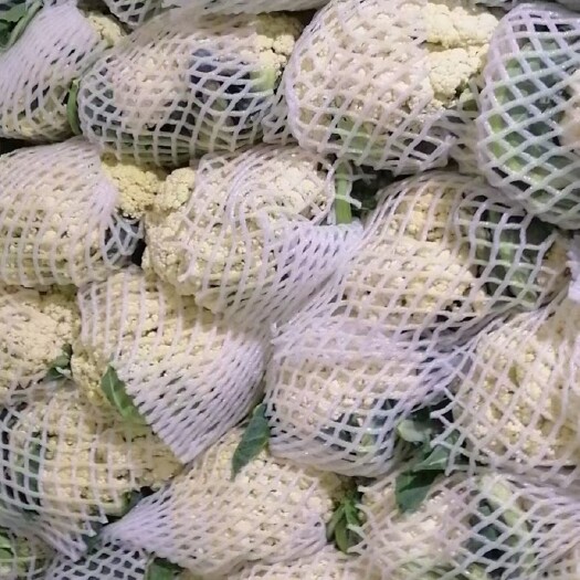 通许县河南省通许菜花大量供应商超，和超市。