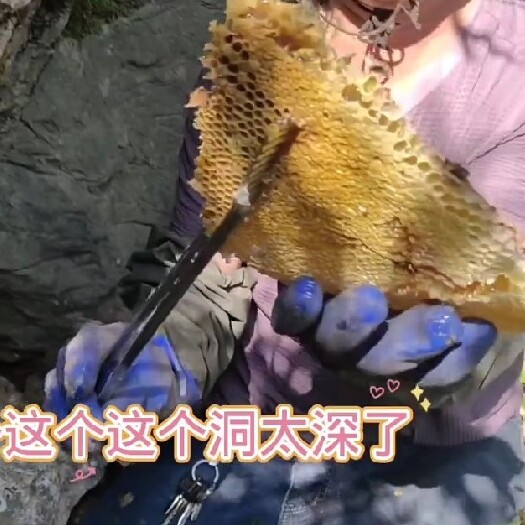 镇宁县贵州深山土蜂蜜