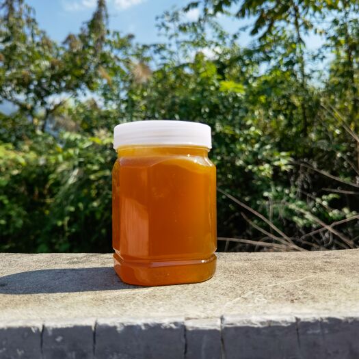 六盘水正宗农家土蜂蜜