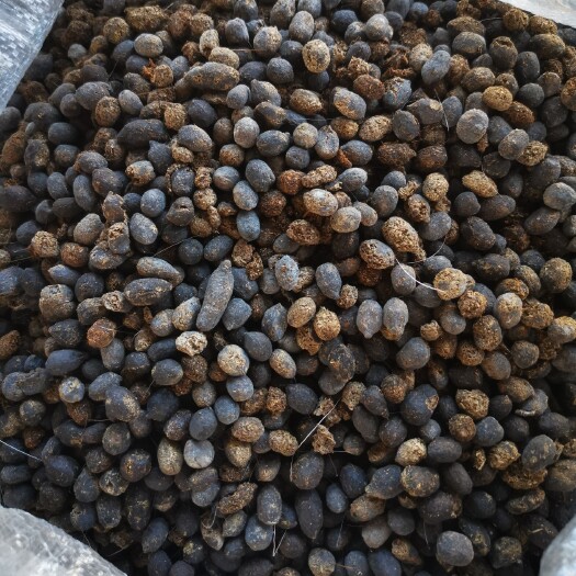 金堂县大袋，纯干，羊粪，水分10%-%15