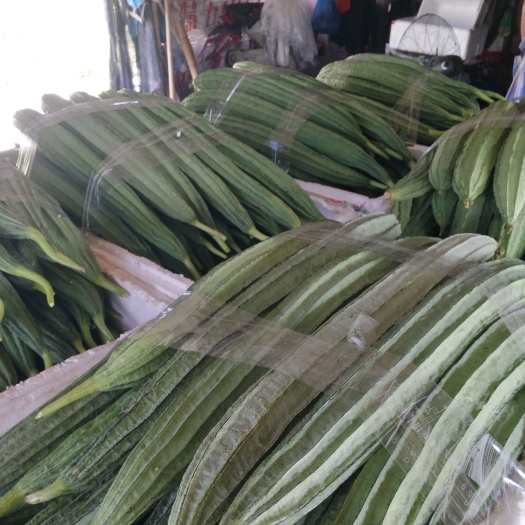 泰顺县蔬菜