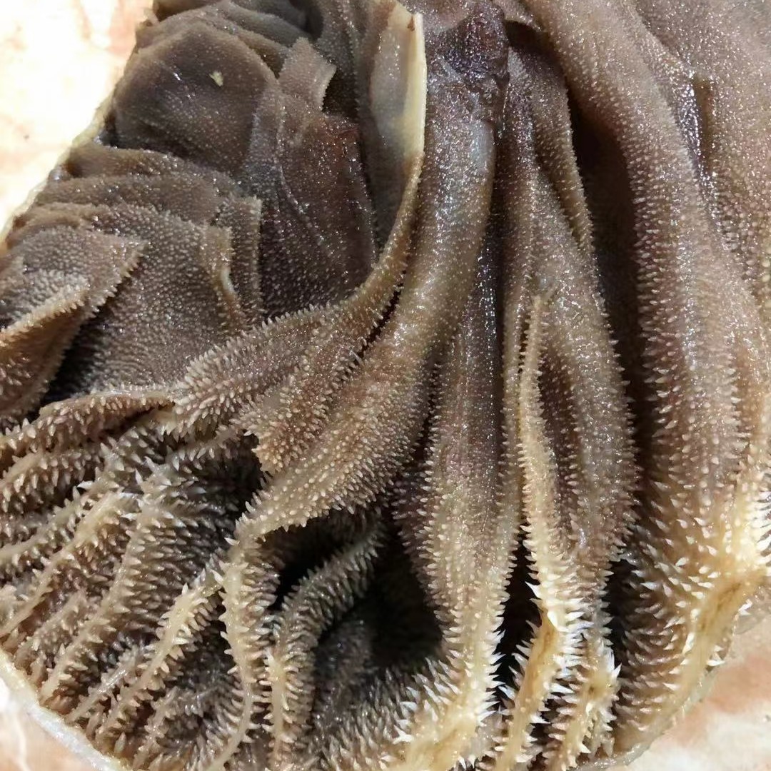 牛百叶牛肚
