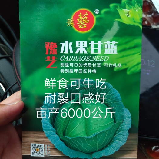 绿甘蓝种子 水果甘蓝种子~水果口感口感好经济效益高抗病易