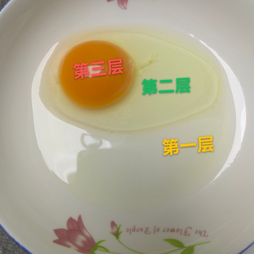 郑州可生食富硒无抗蛋
