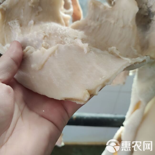 国产黄牛水褪全熟牛肚，不碱大，纯干无水