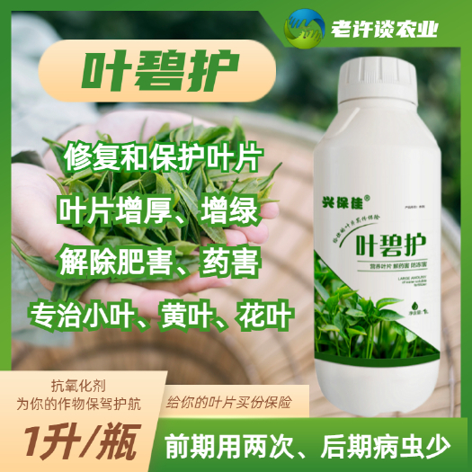 葉片修復(fù)劑 葉面肥葉碧護(hù)—專(zhuān)治小葉黃葉花葉防倒春寒，1升/瓶