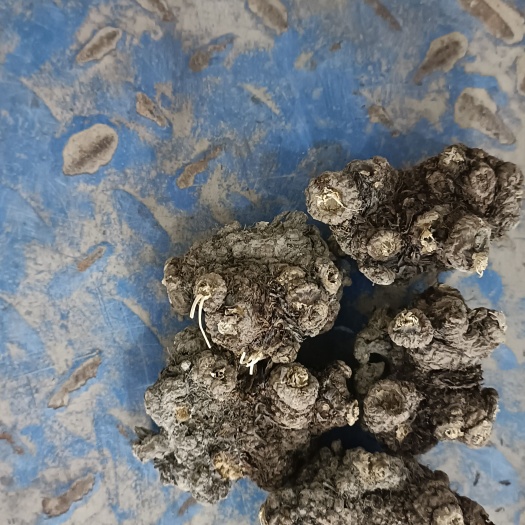 彭州市川芎，今年新货大量上市