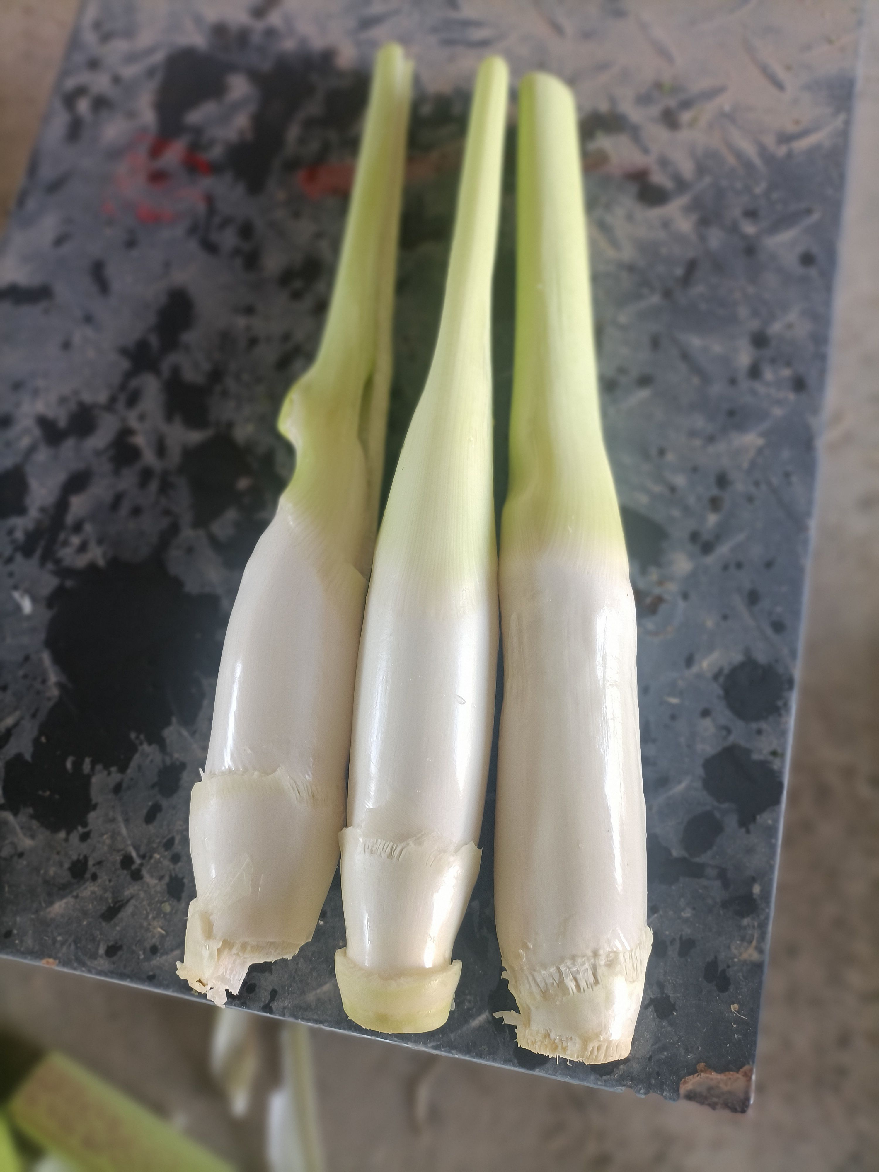 高山美人茭。开始正式上市。4两一个。