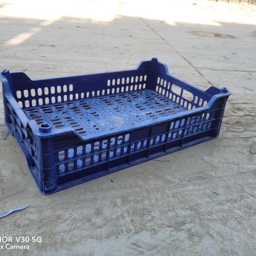 辛集市单层精品桃筐，晴王，油蟠桃筐