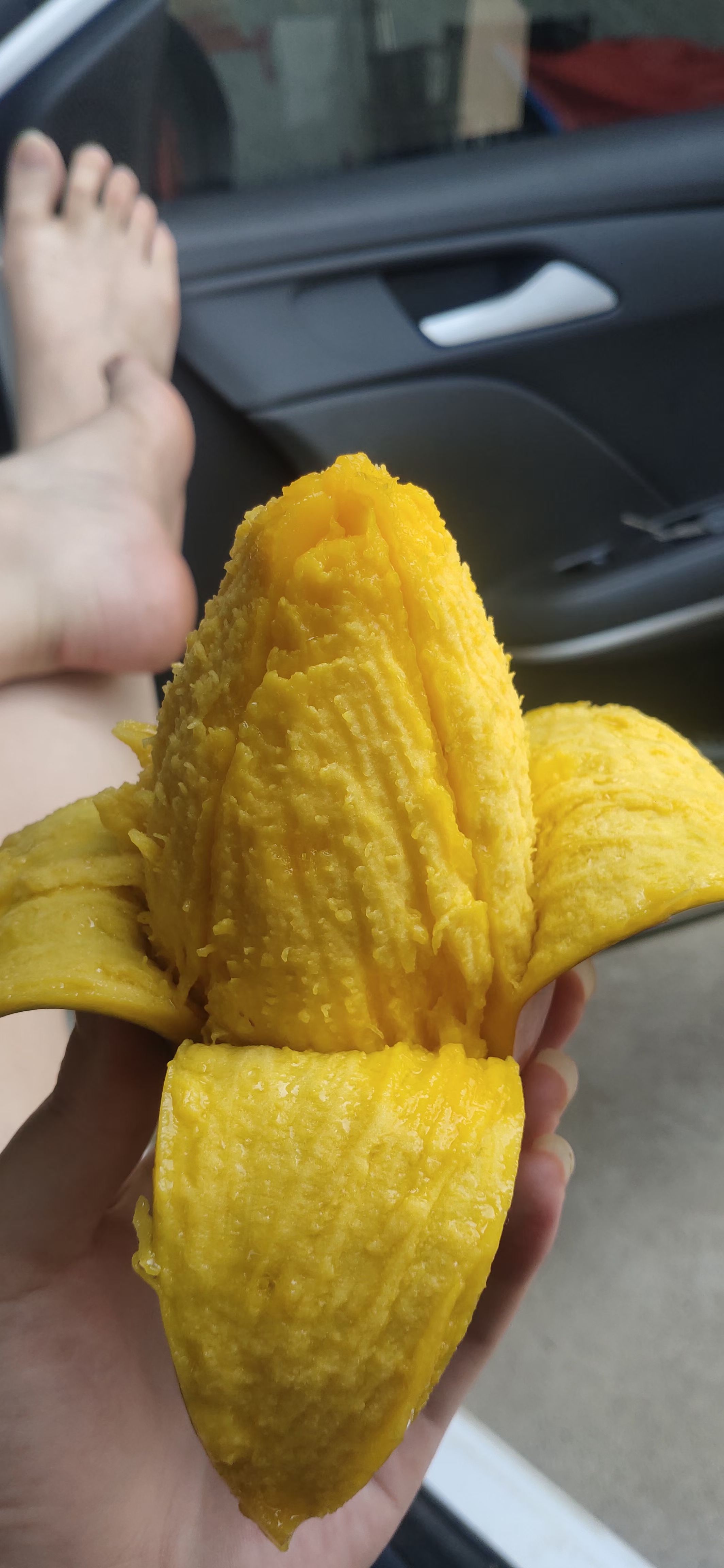 芒果，大台小台芒现采摘