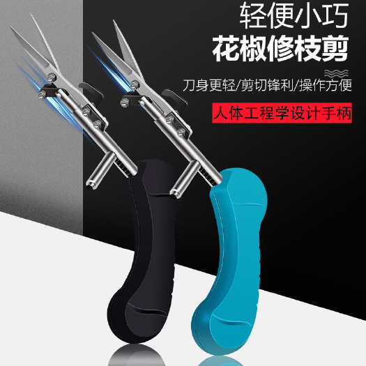 花椒剪园艺剪迷你剪刀轻巧小型采摘剪修枝剪不锈钢水果花木剪专用