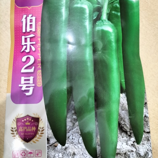 遂溪县伯乐2号牛角椒种子
