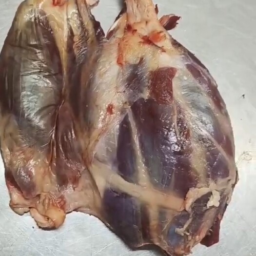 包头内蒙牛腱肉