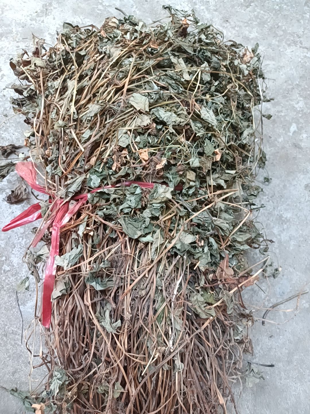 红茎鱼腥草  新货鱼腥草干货自然晒干色鲜全棵未切断大山采挖鱼