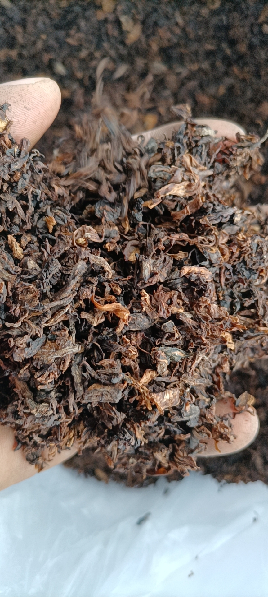 樂(lè)為食品有限公司