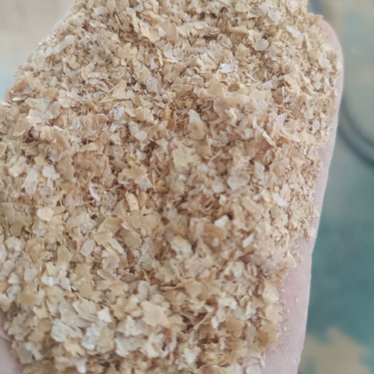 上饶优质麸皮菜籽饼都有