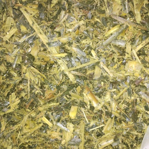 中江县玉米秸秆青储料