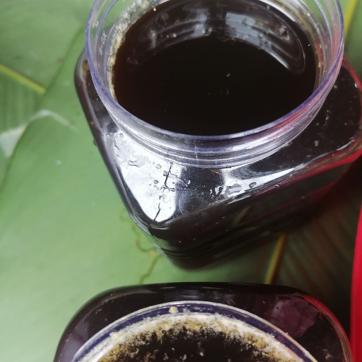 瑞丽市米团花黑蜂蜜枣花蜜百花蜜大挂蜜小挂蜜