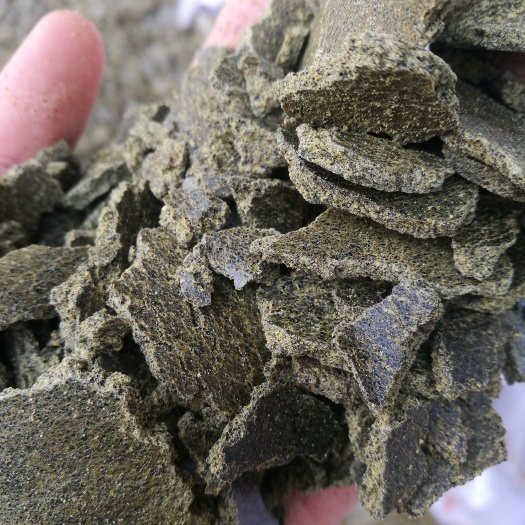 咸阳菜籽青饼，长年大量有货