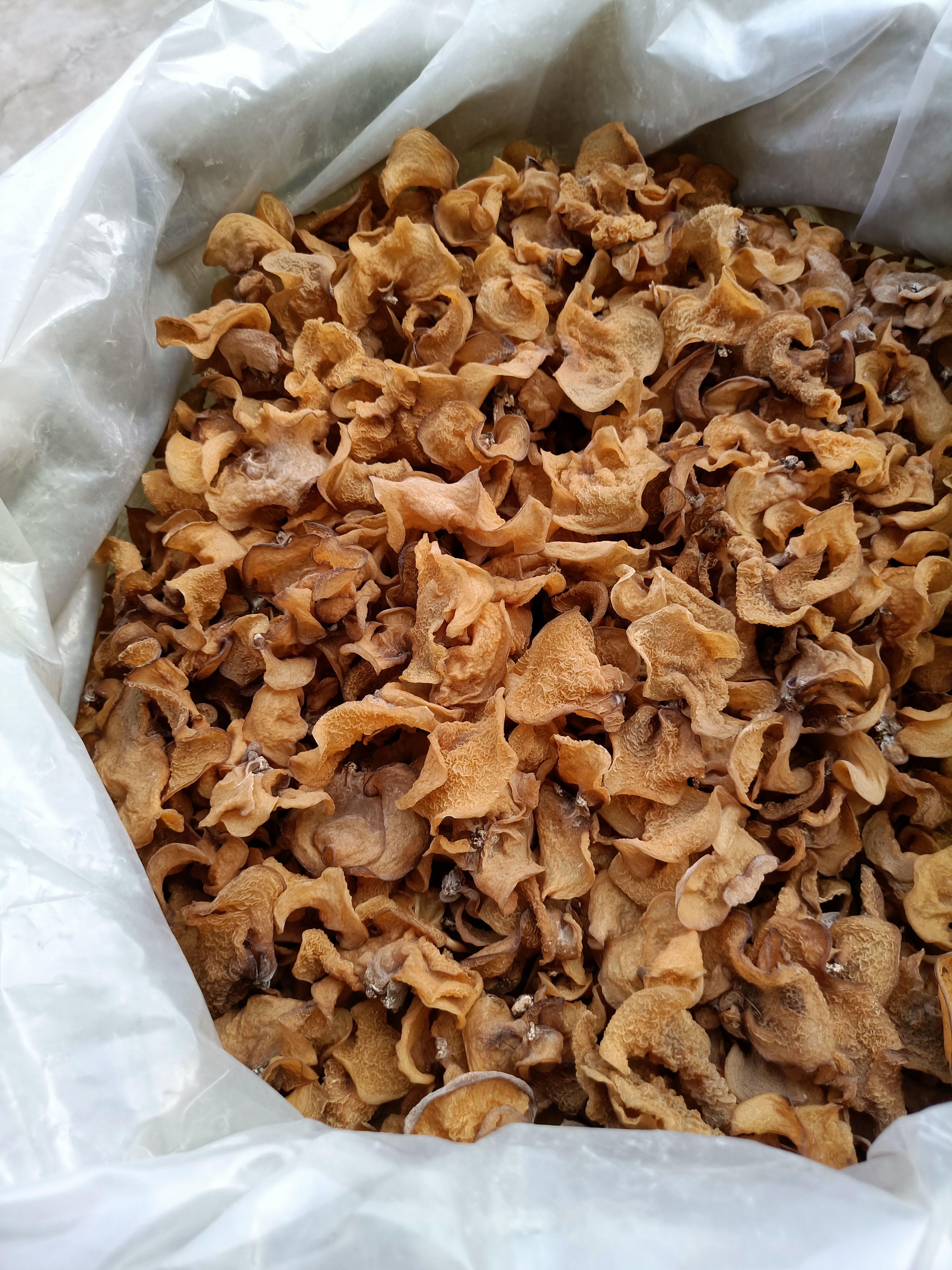 鱼台县羊肚耳足干货沙耳菌竹耳菌兔耳菌珍珠菌羊肚菇特色菌菇酒店食材种