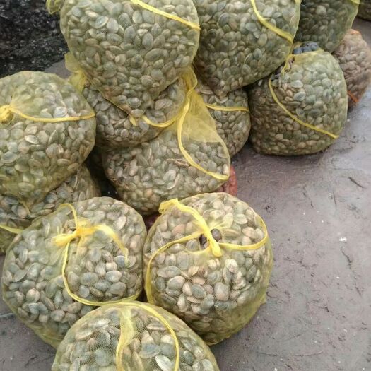 雷州市纯海花螺，特特特好吃，肉肉厚