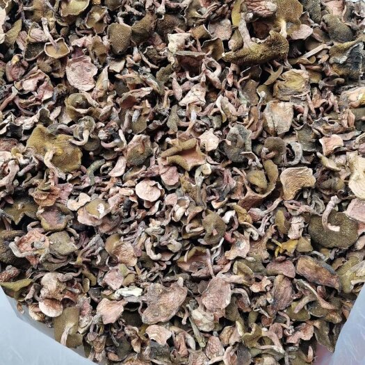 楚雄市红乳菌干片，皮条菌，乳菇，1斤包邮，量大优惠