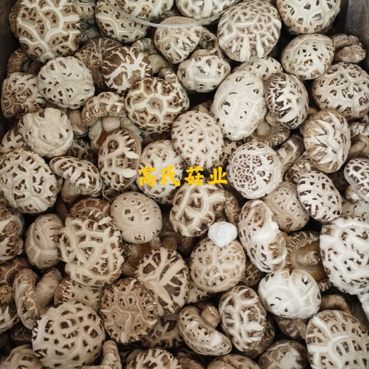 天白花菇干货肉厚礼品批发团购