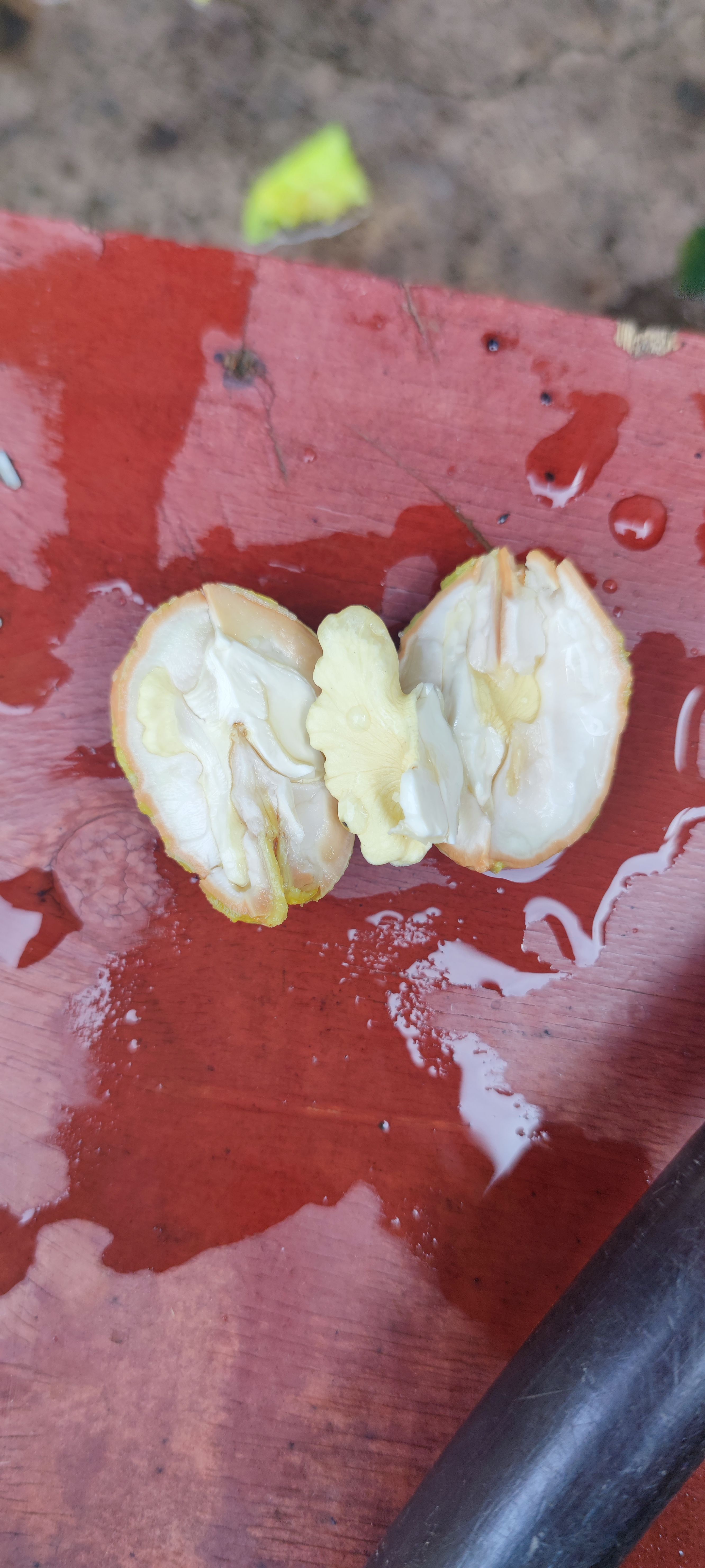 【热卖】新鲜青皮核桃高山老树皮薄味浓大优