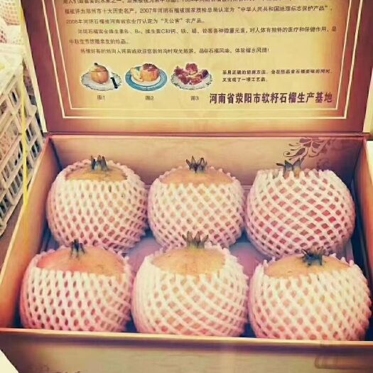 荥阳市石榴