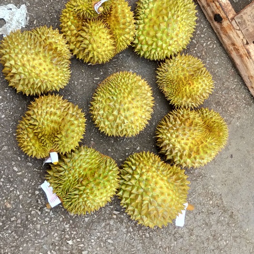 昆明泰国小巴掌