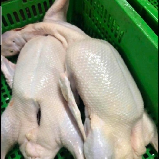 兴化市鸭肉
