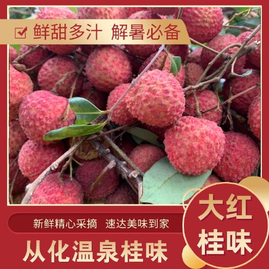 广州大红桂味