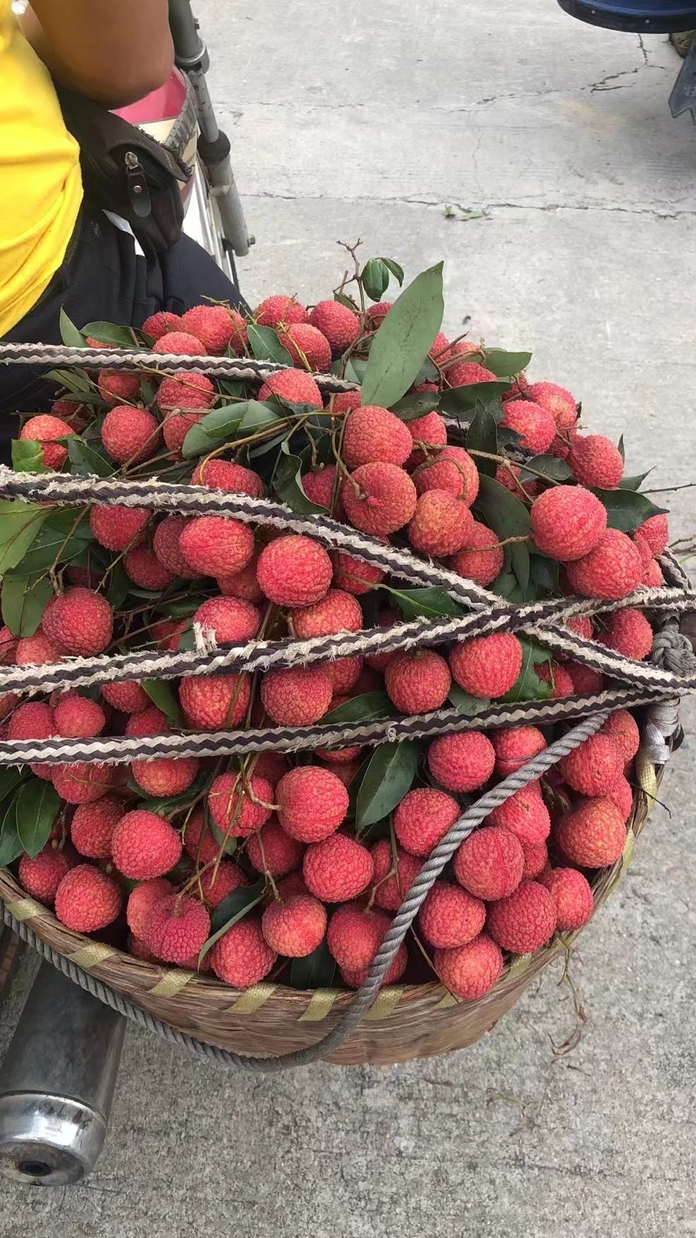 桂味