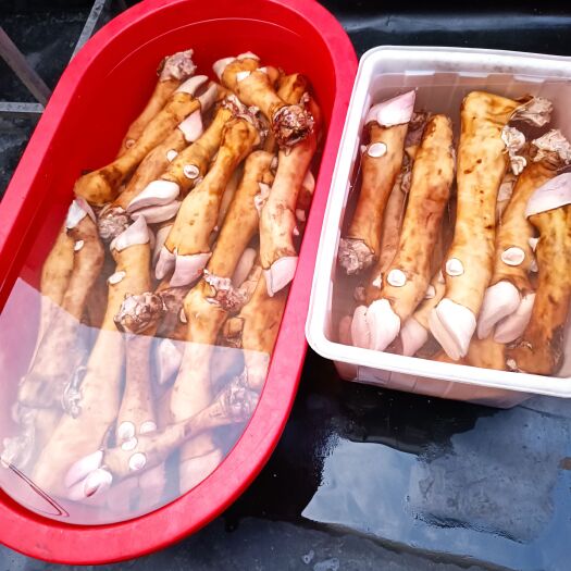 牛蹄，火烧牛蹄，来自内蒙赤峰，质量保证，后蹄带拐筋，