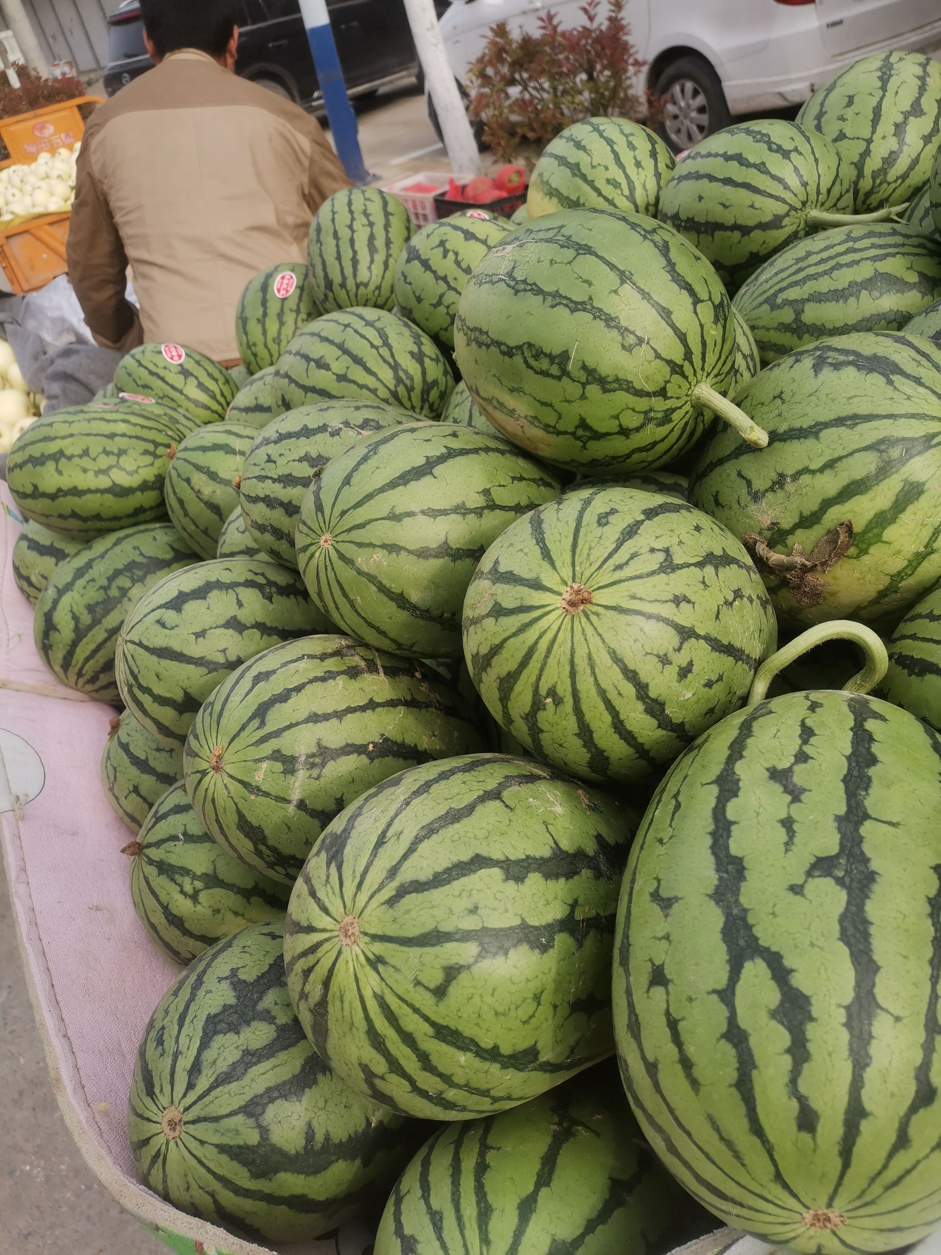 砀山早春红玉 2K小西瓜大量上市， 产地直供 代发全国