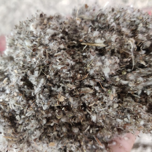 夏津县棉渣，可代替棉壳养殖，碎棉壳得质量棉渣的价格