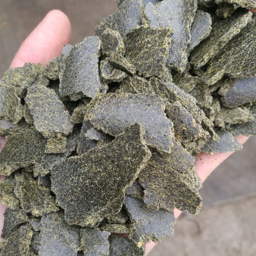咸阳菜籽青饼，长年大量有货，