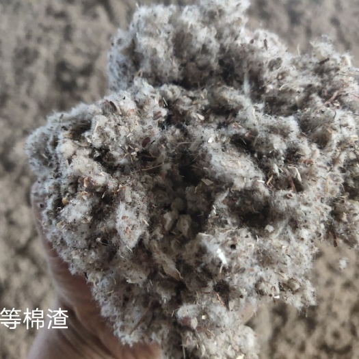 夏津县中等棉渣，