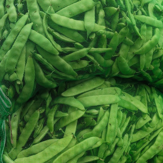 公主岭市怀德陆地大油豆角，油豆角，豆角