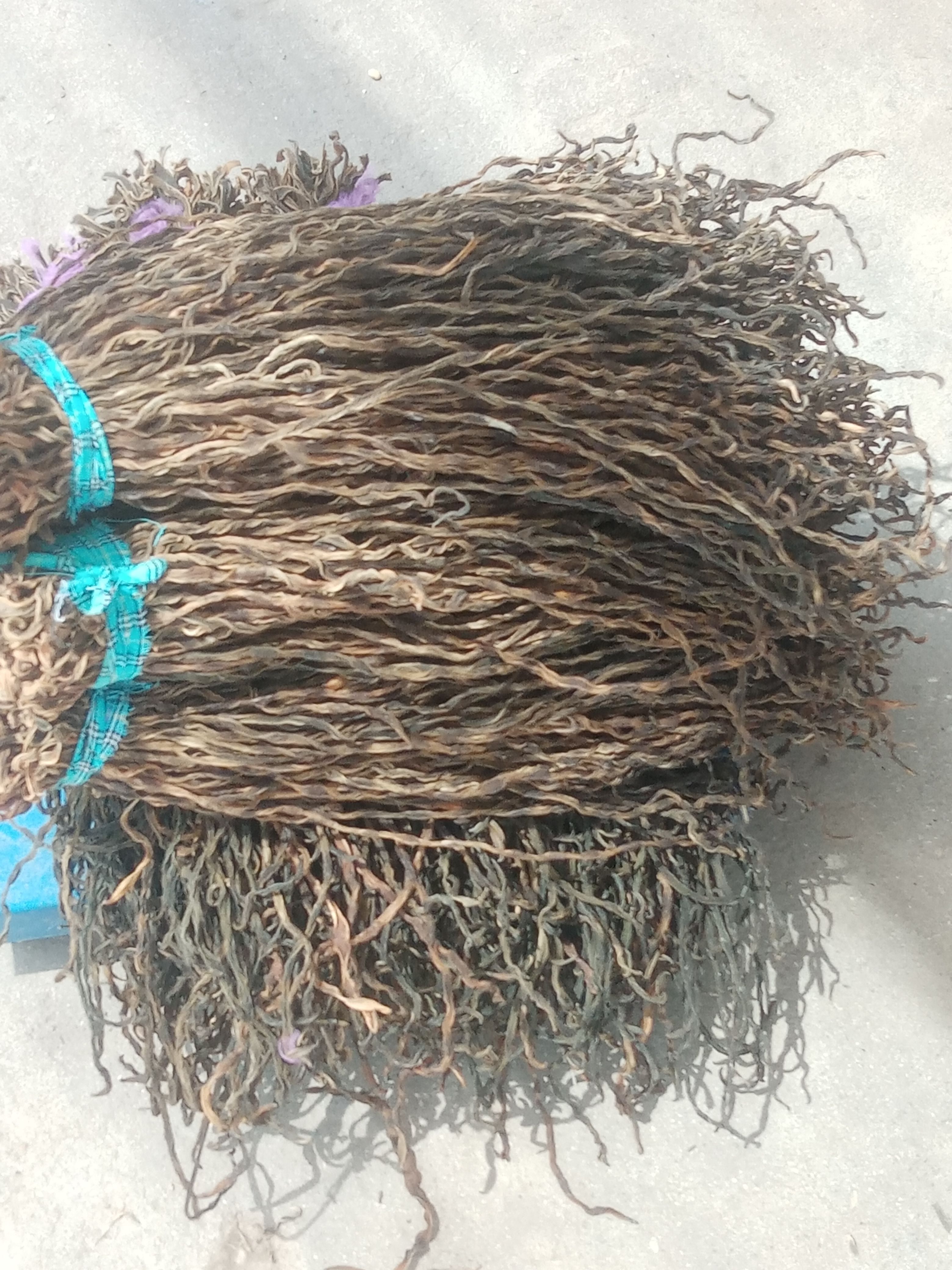 陕西大量供应干豆角 干豇豆长角豆