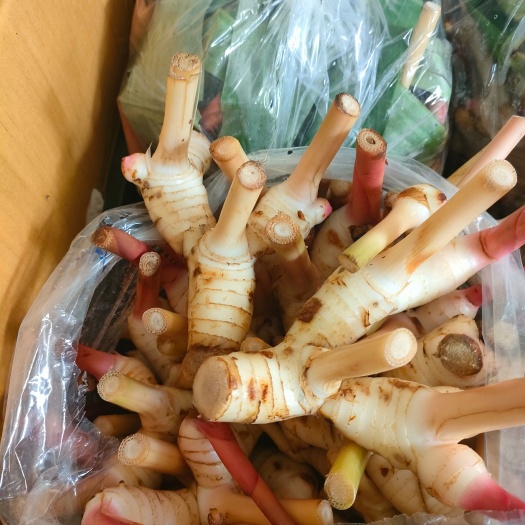 泰国品种白皮南姜鲜货