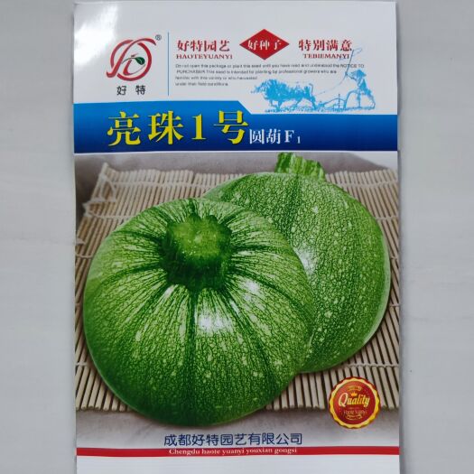 武汉四川好特亮珠1号圆西葫芦种子 小圆嫩南瓜青瓜口感好 抗病强